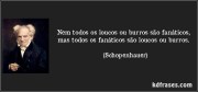 loucos