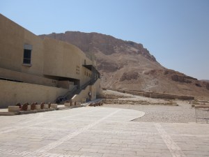 IMG_8088